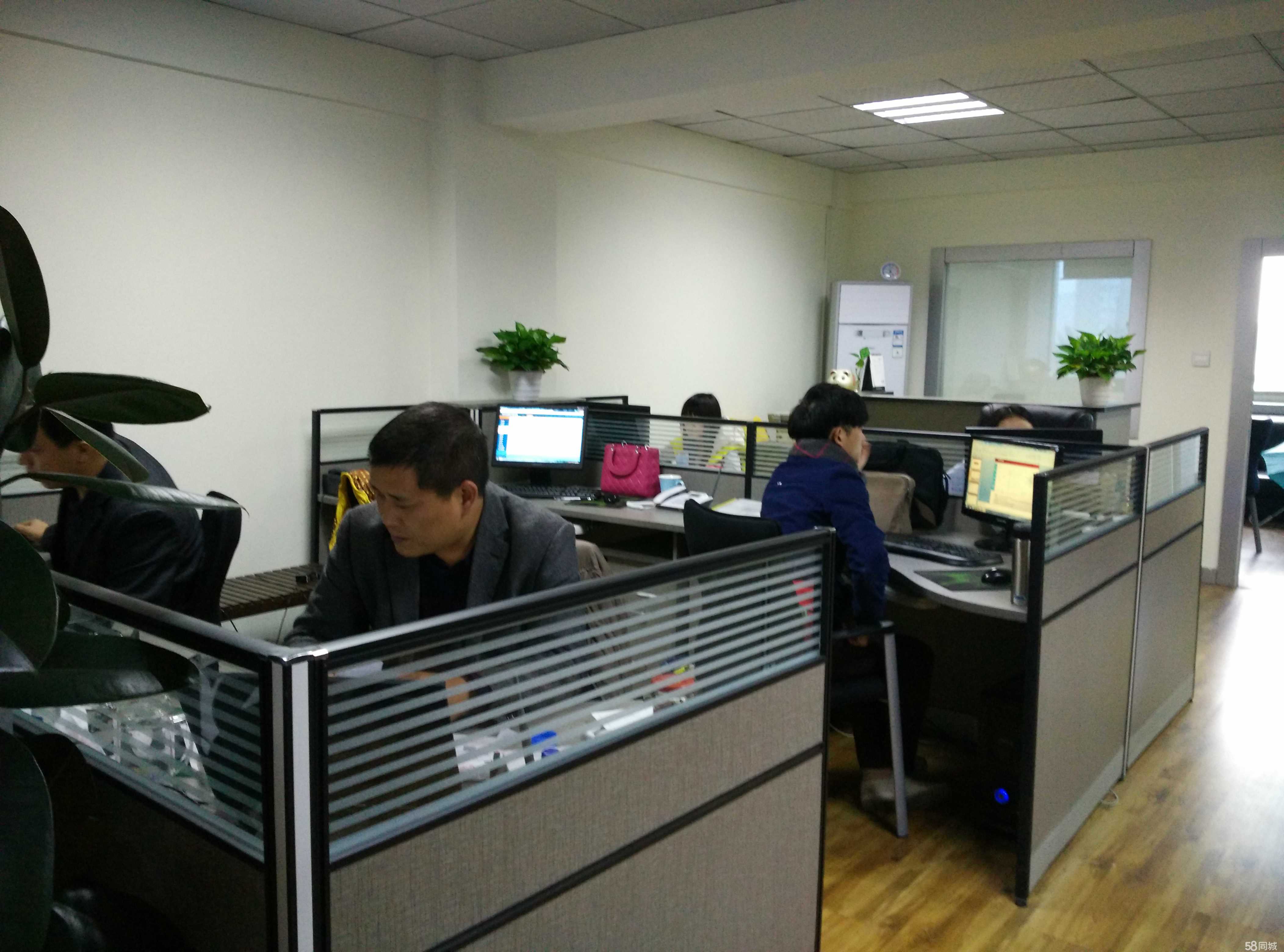 成都思必达软件技术服务 专注于计算机服务的行业先锋